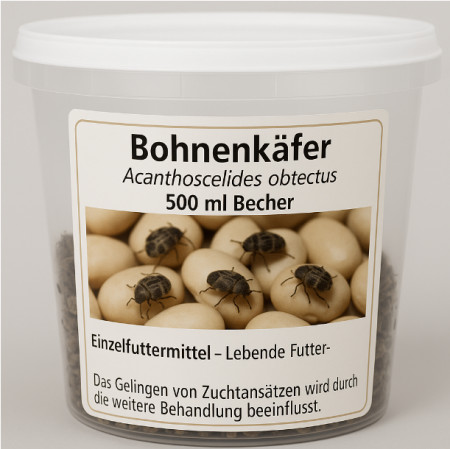 Bohnenkäfer Acanthoscelides obtectus 500 ml Becher